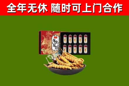 西山回收冬虫夏草价格